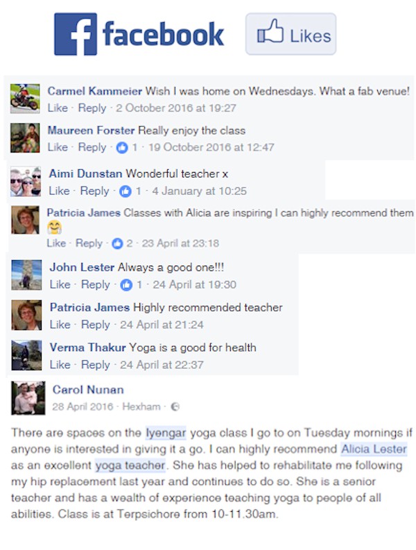 facebookcommentsbbord600
